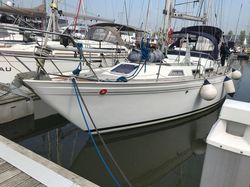 Nicholson 39