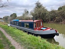 50ft Semi Traditional Rose Emily