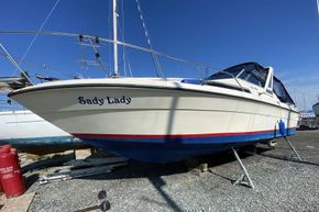 Sady Lady -25