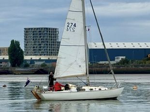 Lovely Contessa 26