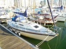 Westerly Storm 33