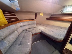 Moody 37  - Aft Cabin
