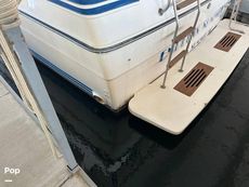 1986 Sea Ray 410 AFt Cabin