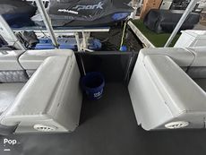 2022 Massimo Marine P23