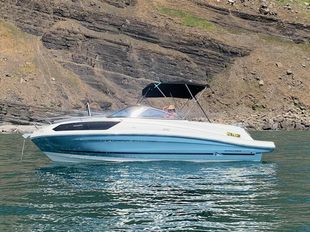Bayliner