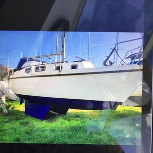 Colvic Sailor