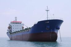 300 TEU MPP Container Ship