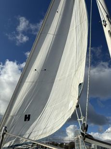 Hunter Horizon 23 2