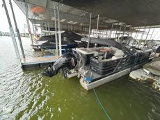 2022 Massimo Marine P23