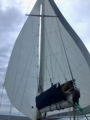 Working jib, double headsail with genoa