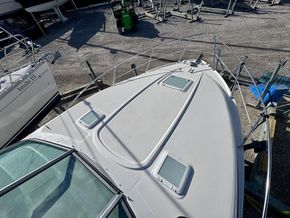IMG 4664