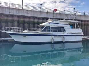 Trader 47 Sunliner (available)