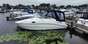 Sealine 25