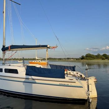 Catalina 250 Sail Boat