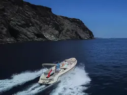 2026 Interboat Intender 820