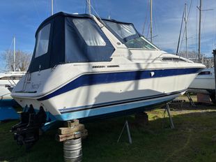 1989 Sea Ray Sundancer 280