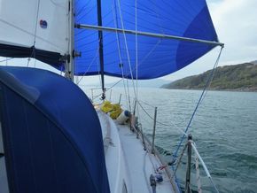 Spinnaker