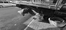 13m Pilot / Crew / Agency Boat
