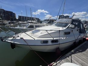 IMG 3036