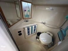 1992 Sea Ray 350 Express Bridge