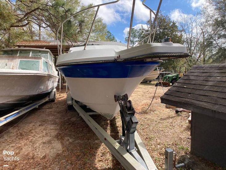 1988 Evinrude 252 caprice