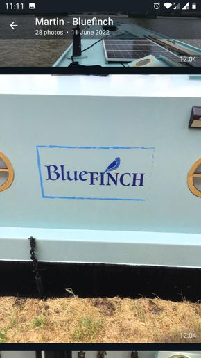 Bluefinch 