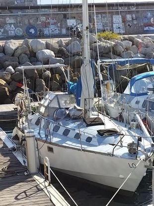 2015 Custom Built Trielen TRIELEN