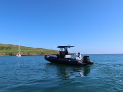 2025 Tiger Proline 740 w/ exclusive Suzuki 240HP Stealth Line Engine