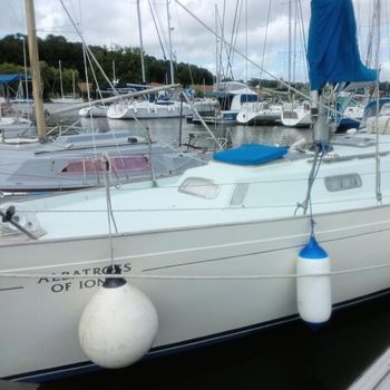 Nicholson 35