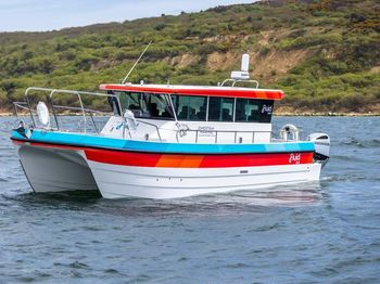 Cheetah Catamaran - Water Taxi