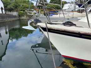Westerly Konsort Duo  - Bow