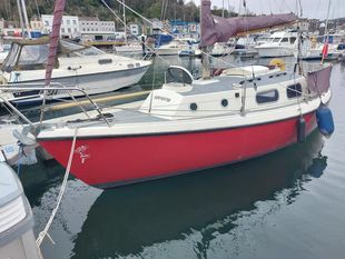 Westerly Tiger (available)