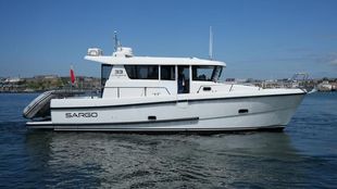 Sargo 33