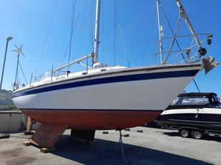 1981 Westerly Discus