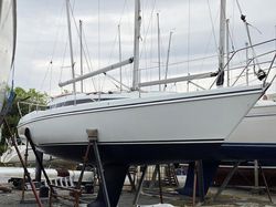 Hunter Horizon 30
