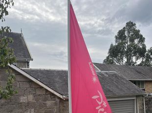 Pico  inc sails & road launching trailer