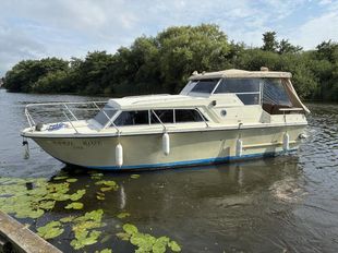 Birchwood 25 Executive River cruiser, Boat 