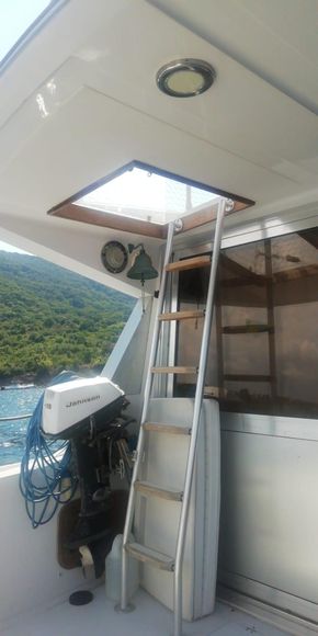 Ladder to flybridge