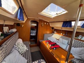 Dufour 31  - Saloon