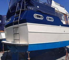 Stern
