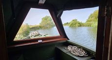 Dragonfly 58ft Kingfisher Plus Cruiser Narrowboat      