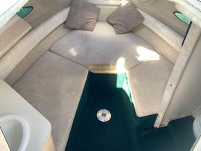 Sea Ray 215 Express Cruiser  - Interior