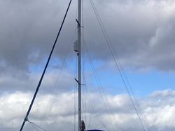 Vertue II