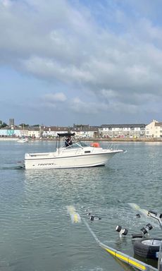 Bayliner Trophy 2052 WA