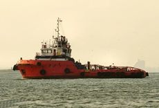41T BP - AHT - 38M