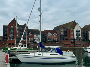 Sadler 26 'Sea Treasure'