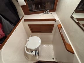 IMG 4785