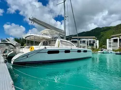 2010 Leopard 46