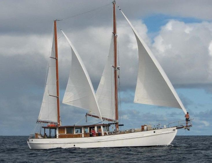 Boats For Sale New Zealand Boats For Sale Used Boat Sales Commercial Vessels For Sale Norwegian Pilot Ketch Classic Charter Vessel Apollo Duck