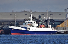 Dynamic Positioning Class II ROV Support DP2